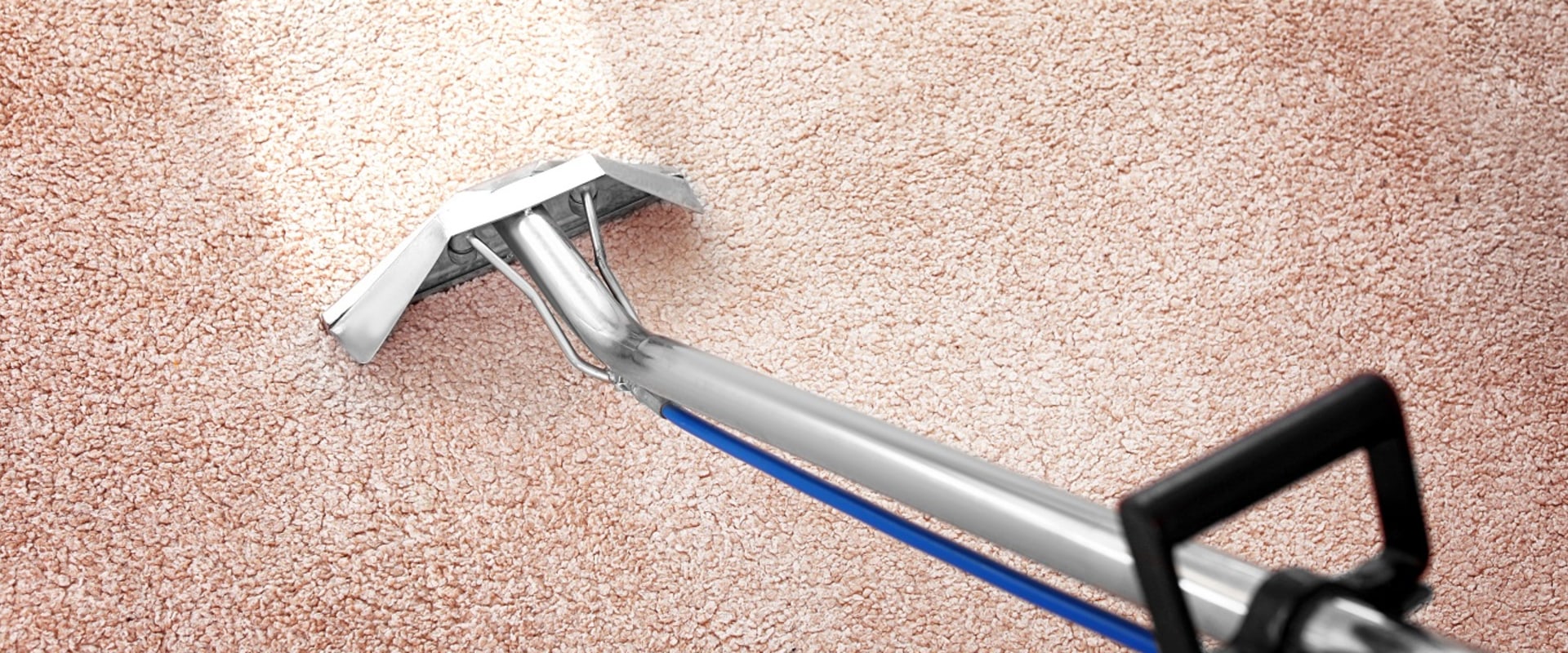 Tips For Choosing A Professional Carpet Cleaner